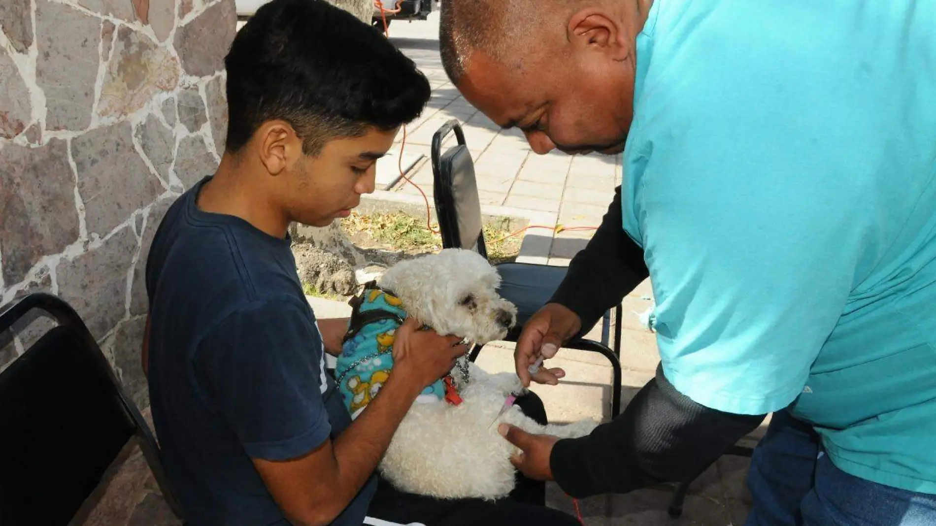 28 Arranca campaña de esterilización y adopción canina2